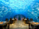 Conrad Maldives Rangali Island . Ithaa Underwater restaurant Conrad Maldives Rangali Island . Ithaa Underwater restaurant
