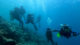 cnn diving in maldives baa toll