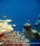 North Male Atoll- Snorkeling