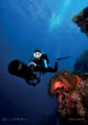 diving pullman maldives included 