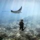 Snorkeling and Diving at Gili Lankanfushi Maldives