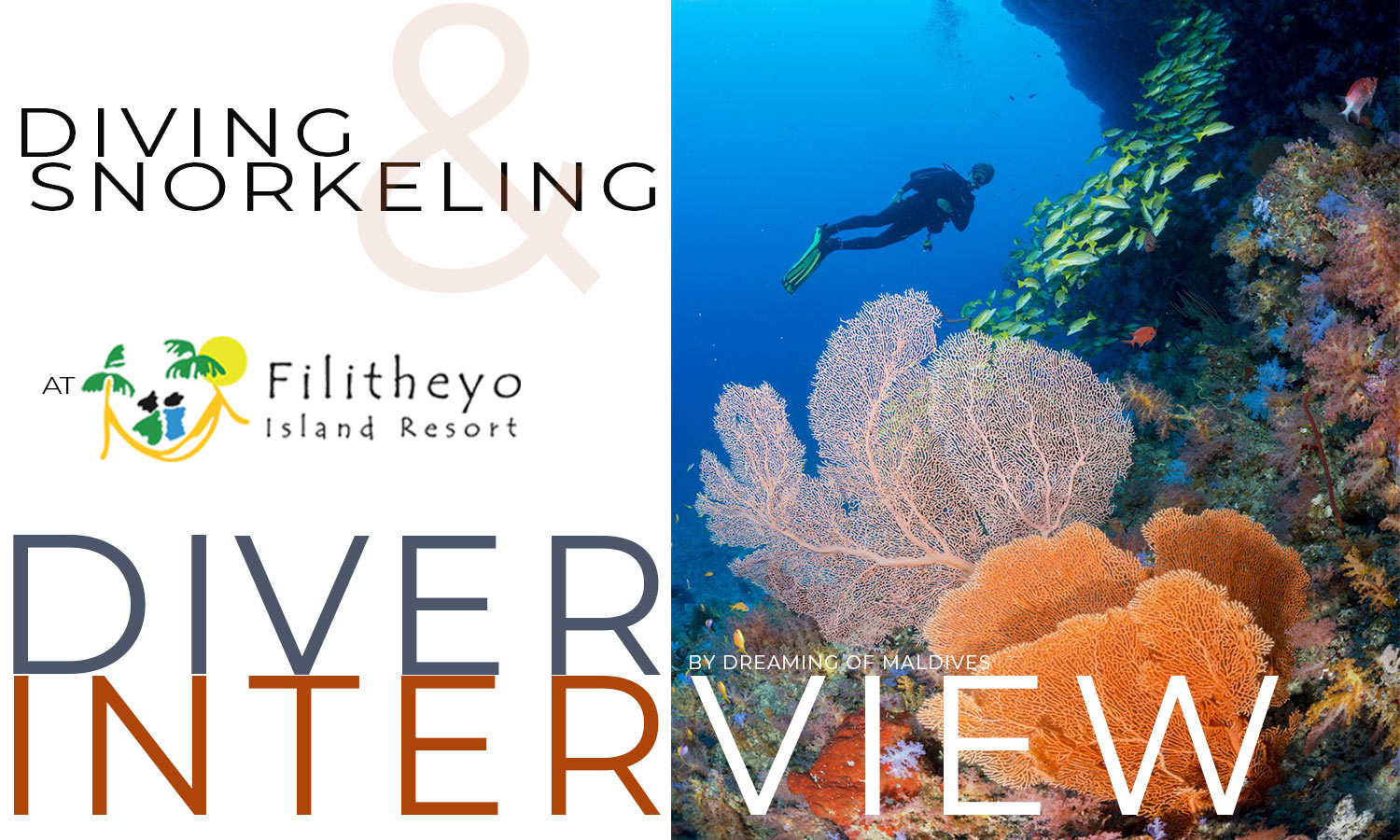 Dreaming of Filitheyo Island Resort Maldives A Snorkeling Dream