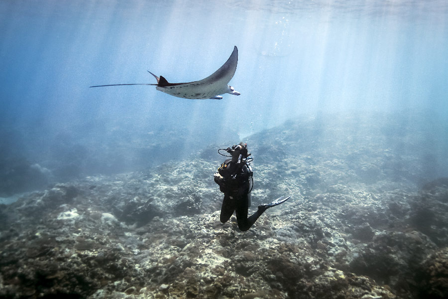 Diving Gili Lankanfushi Maldives
North Malé Atoll Manta Point