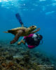 diving at amilla with a turtle