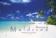 Maldives Photo Book - Dreaming of Maldives VOL1
