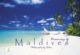 Dreaming of Maldives Photo Book VOl1