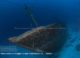 Filitheyo Wreck Diving - The KM AGRO MINA II - Filitheyo Wreck Filitheyo Wreck Diving - The KM AGRO MINA II - Filitheyo Wreck