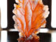 Joali Coral Glass object by Fy-shan Glass Studio