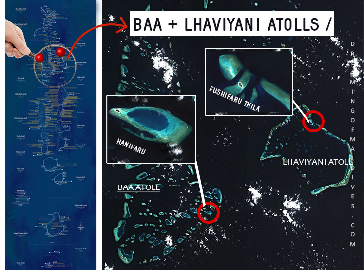 Map of Baa and Lhaviyani atolls with :
Hanifaru Bay and Fushifaru Thila Manta cleaning station locations.