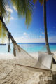 Listen to lounge Music on a hammock in Maldives
