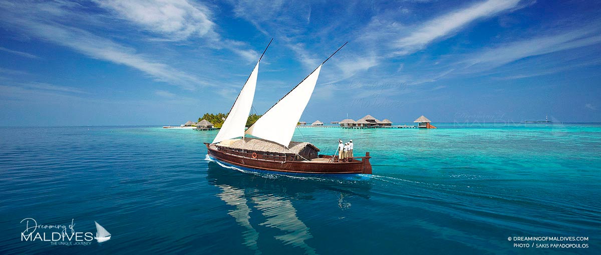 dhoni maldives