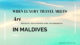 3 Ultra-Luxury Hotels in Maldives With Art Collections
