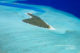Maldives photo of the day. Aerial Photo of a small paradisiacal Island Maldives photo of the day. Aerial Photo of a small paradisiacal Island