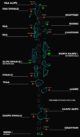 maldives airports list complete updated map with atolls