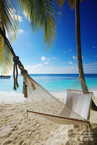 The Art of Doing Nothing LESSON #4