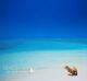 the best time to Visit Maldives