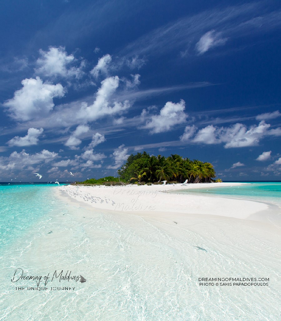 maldives pic