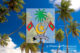 Maldives - Coconut Trees