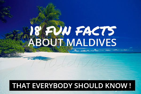 7 Amazing Facts About The Sea Of Stars In The Maldives
