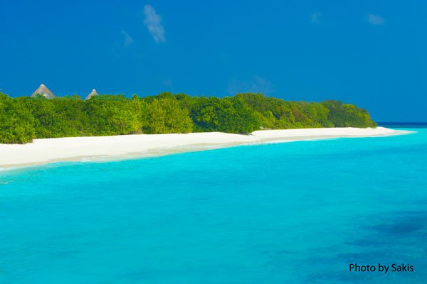 To live happy, live hidden in Maldives Photo of the day To live happy, live hidden in Maldives Photo of the day