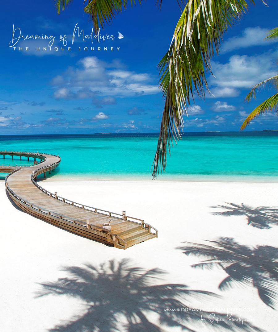 dreaming of maldives