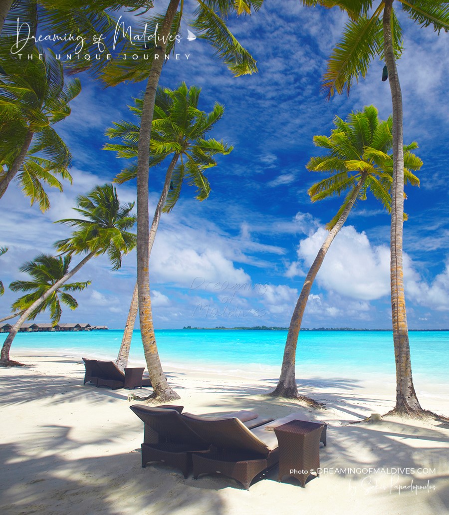 maldives dreamy photo