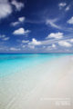 Paradise Beach of The Maldives Islands