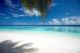 Paradise Beach of The Maldives Islands