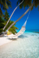 Paradise Beach of The Maldives Islands