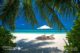 Paradise Beach of The Maldives Islands