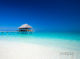 Maldives Resorts Latest Stories and News