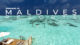 Maldives Resorts Videos