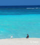 maldives romantic destination