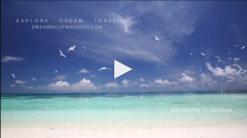 The Maldives In Slow Motion
