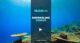 maldives snorkeling videos