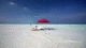 Walking forever in Paradise. A Maldives gif