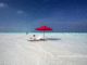 Walking forever in Paradise. A Maldives gif