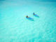 Maldives best watersports the 10 best water activities