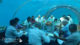 Hurawalhi Maldives. The 5.8 underwater restaurant meeting