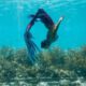mermaid maldives