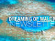 Dreaming of Maldives - Newsletter