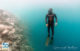 Freedive Maldives opens Neyvaa 2 event to the public