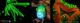 Night and Fluo Snorkeling at Huvafen Fushi Maldives