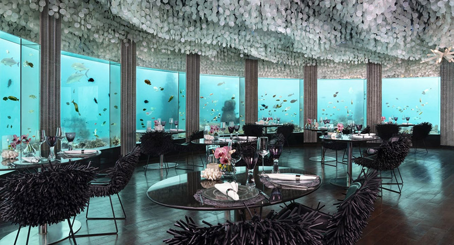 niyama maldives private islands underwater restaurant night club