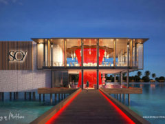 Asia chose Maldives as Best Diving Sites in the World