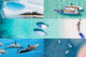 Opening Zazz Escapes Maldives new resort 2022