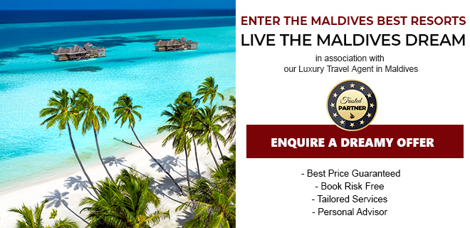 Maldives Luxury Deal