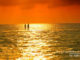 Maldives Photo of the Day : Walking on a sandbank at Sunset. A simple but yet Magic moment