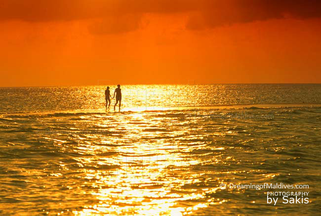 Maldives Photo of the Day : Walking on a sandbank at Sunset. A simple but yet Magic moment Maldives Photo of the Day : Walking on a sandbank at Sunset. A simple but yet Magic moment that can happen only in Maldives