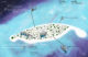 A Super Private Island in Maldives Four Seasons Voavah. Island Map